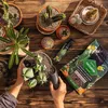 cumpără Substrat pentru plante Lechuza Cactuspon, 6l în Chișinău 