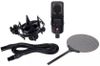 купить Микрофон SE Electronics X1S в Кишинёве 