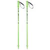 купить Лыжные палки Elan Rock Rod JR green 090 (CD834023 090) в Кишинёве 