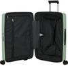 купить Чемодан Samsonite Upscape 68/25 TSA Exp Verde Deschis (143109/A807) в Кишинёве 