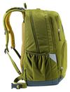 купить Детский рюкзак Deuter Cotogy cactus-kelp (3831026 1219 0) в Кишинёве 