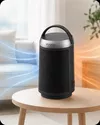 купить Тепловентилятор EvoAir Warmix 1500, Negru в Кишинёве 