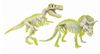 cumpără Joc educativ de masă As Kids 1026-50749 T-Rex Fluo & Triceraptor Fluo Stiinta & Joaca în Chișinău 