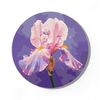 cumpără Tablou pe numere BrushMe RC00078M rotunda d30, Iris roz în Chișinău 
