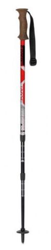 купить Треккинговые палки Masters SCOUT Red (01S5019) в Кишинёве 
