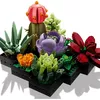 cumpără Set de construcție Lego 10309 Botanicals Suculente în Chișinău 