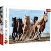 купить Головоломка Trefl 10446 Puzzle 1000 Galopping horses в Кишинёве 