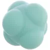 cumpără Minge SUHS 620 Reaction Ball FI-1582 în Chișinău 