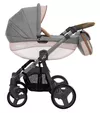 cumpără Сărucior pentru copii Babyactive Mommy Classis 2в1 Pink în Chișinău 
