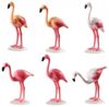 cumpără Set de construcție Playmobil PM70351 Flock of Flamingos în Chișinău 