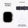 купить Смарт часы Apple Watch Ultra 2 2024 GPS + Cellular 49mm Natural Titanium Case with Natural Titanium Milanese Loop - S MX4M3 в Кишинёве 