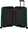 купить Чемодан Samsonite Essens 55/20 (146909/4705) в Кишинёве 