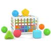 купить Сортер Huanger (18691) Cub educativ cu forme HE0289 в Кишинёве 