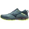 купить Кроссовки для бега Mizuno Wave Rider GTX J1GC2179 24 в Кишинёве 
