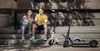 купить Самокат Xiaomi Mi Electric Scooter 3 EU, Gray в Кишинёве 