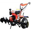 купить Культиватор Hwasdan MSD-023352 Мотор-культиватор 10 л.с. HSD1G135E Новый, дизель, коробка передач в Кишинёве 