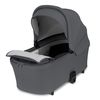 купить Детская коляска Lionelo Carucior 2in1 Carmine Grey Stone в Кишинёве 