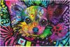купить Головоломка Trefl 20160 Colorful Puppy в Кишинёве 