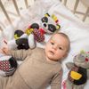cumpără BabyOno C-More jucărie pentru cărucior Racoon Felix în Chișinău 