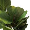 cumpără Plantă artificială Deco Arbore Ficus lyrata 200 în Chișinău 