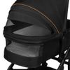 купить Детская коляска Lionelo Carucior 2in1 Mari Tour Black Onyx в Кишинёве 