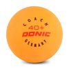 купить Теннисный инвентарь SUHS 9686 Minge tenis de masa (6 buc) DONIC MT-5862 orange в Кишинёве 