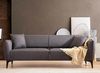 купить Диван Trendy Belissimo Gri inchis (3 locuri) в Кишинёве 