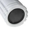 cumpără Rolă pentru masaj HMS FSV305 Abisal Grey Vibration Roller în Chișinău 
