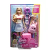 купить Кукла Barbie HJY18 cu accesorii și set de voiaj Malibu в Кишинёве 
