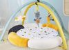 cumpără Complex de joacă pentru copii Hola Toys 90191 covoras in set cu zornaitoare în Chișinău 