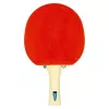 cumpără Articol de tenis Tibhar SL-00014429 Paleta tenis de masa 1 Samsonov Fun 03010 în Chișinău 