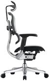 купить Офисное кресло ART Ergohuman Elite 2 BL Natural T-168-B2 EHE2-AB-HAM-5D-L в Кишинёве 