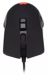 cumpără Mouse gaming Tracer GAMEZONE Mavrica USB în Chișinău 