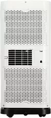 купить Кондиционер мобильный Diplomat DM9CH, 9000BTU, Cool&Heat WiFi в Кишинёве 