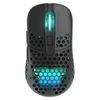 купить Мышь Xtrfy M42W-RGB-BLACK M42 WL RGB Black в Кишинёве 