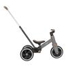 cumpără Bicicletă-cărucior Kikka Boo 31006020164 Tricicleta 5in1 Flash Grey în Chișinău 