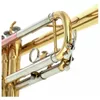 cumpără Instrument muzical de suflat Startone STR 25 trompeta în Chișinău 