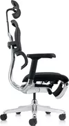 cumpără Fotoliu de birou ART Ergohuman Elite 2 Black + Legrest T-168-B1 EHE2-AB-HAM-5D-L în Chișinău 