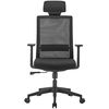 купить Офисное кресло Lumi LV-CH05-37, Black в Кишинёве 