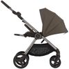 cumpără Сărucior pentru copii Anex IQ-21 All in One IQ Premium Bruna în Chișinău 