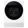 купить Стиральная машина с сушкой LG LSWD100E в Кишинёве 