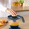купить Соковыжималка для цитрусовых Tefal ZP2M04E0 в Кишинёве 