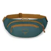 купить Поясная сумка Osprey Daylite Waist torrent blue hip (810165743335) в Кишинёве 