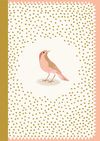 купить Djeco Lovely Paper 2 Small Notebooks (Bird) в Кишинёве 