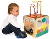 cumpără Sortator Janod J08256 Cub cu activitati Multi-Activity Looping Toy în Chișinău 