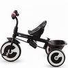купить Велосипед-коляска KinderKraft Aston KRASTKRASTO00PNK0000 ROSE PINK в Кишинёве 