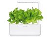 купить SMART HOME GREEN LETTUCE REF. GLETT-REFILL-3 CLICK&GROW в Кишинёве 