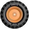 cumpără Anvelopă CEAT 9.5-22 Farmax R1 TT 8PR a/s în Chișinău 