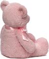 cumpără Jucărie de pluș Baby Gund 6048627 My 1st Teddy Pink 45cm în Chișinău 