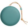 купить Колонка портативная Bluetooth Bang & Olufsen Beosound A1 3rd Gen Eucalyptus Green в Кишинёве 